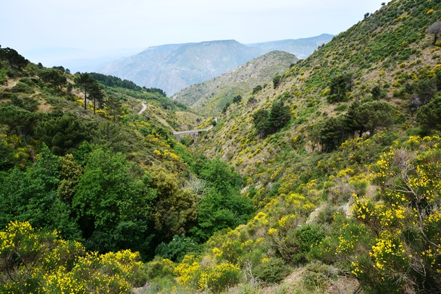 Parco nazionale dell'Aspromonte