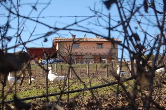 Pranzo di chiusura - Fattoria il Cotto